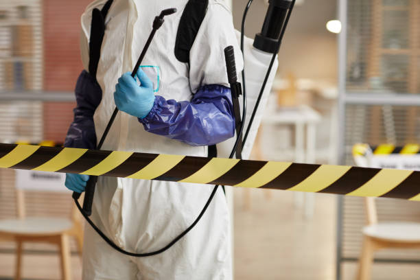 Professional Sewage Cleanup technician working in Mantoloking, NJ